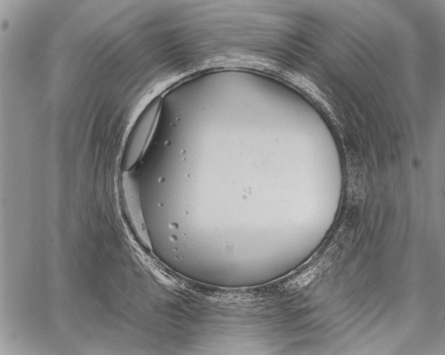 X0000062651040200601040913