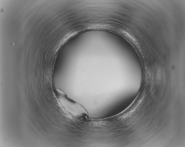 X0000062651041200601040913