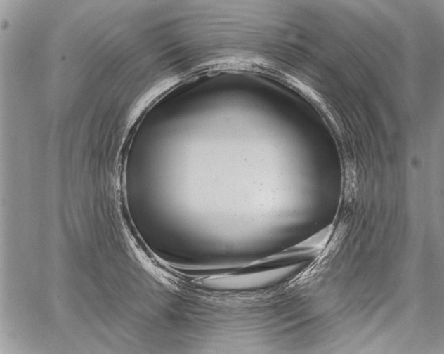 X0000062651042200601040913