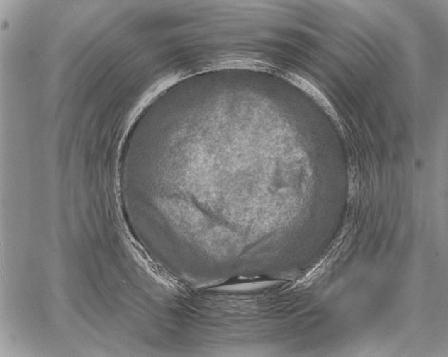 X0000062651043200601040913