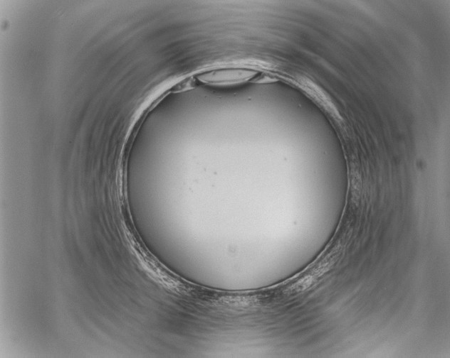 X0000062651044200601040913