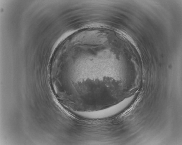 X0000062651045200601040913