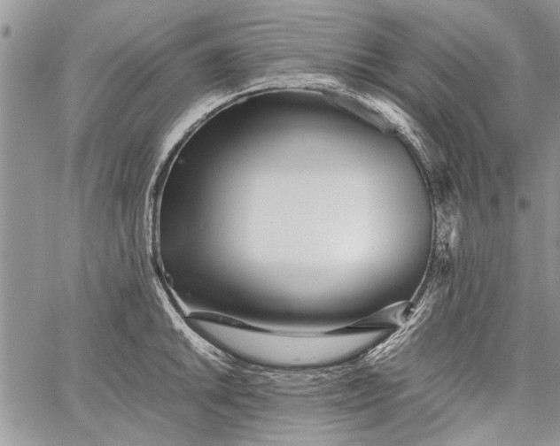 X0000062651046200601040913