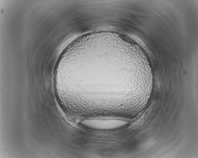 X0000062651047200601040913