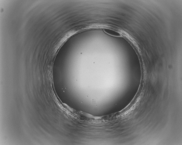 X0000062651049200601040913