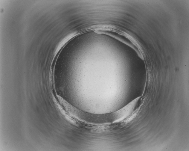 X0000062651050200601040913