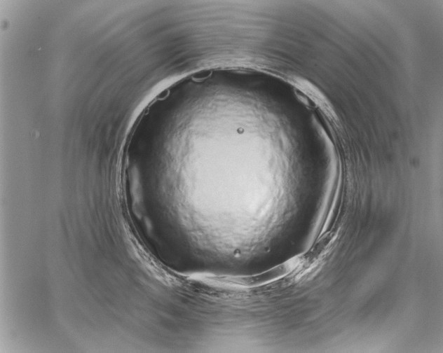 X0000062651052200601040913