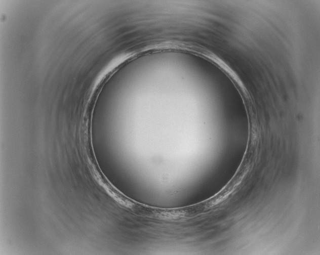 X0000062651053200601040913