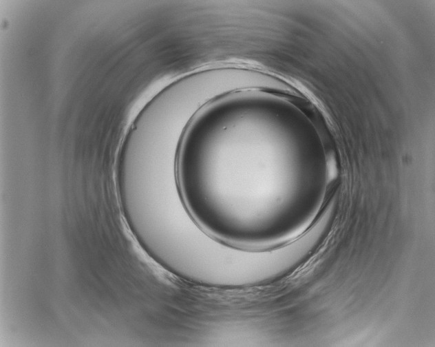 X0000062651054200601040913