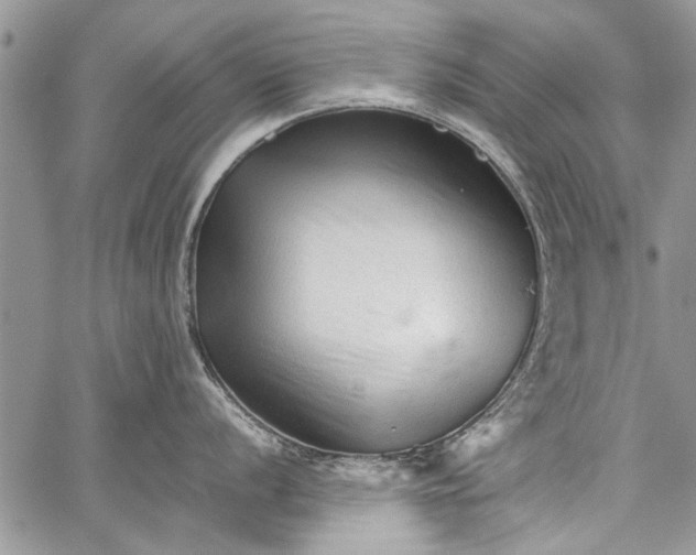 X0000062651056200601040913