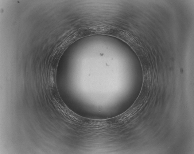 X0000062651058200601040912