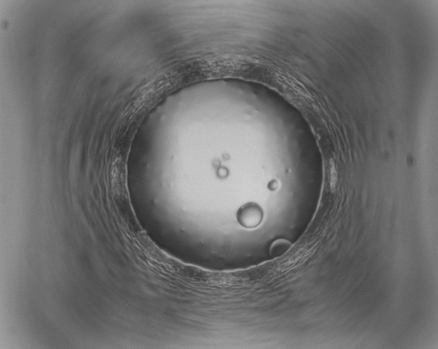 X0000062651059200601040912