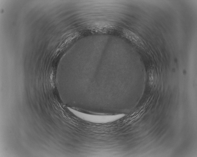 X0000062651060200601040912