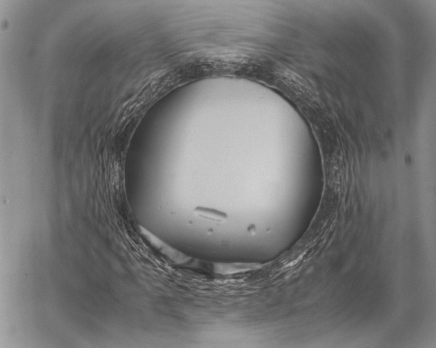 X0000062651061200601040912