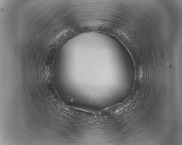 X0000062651062200601040912