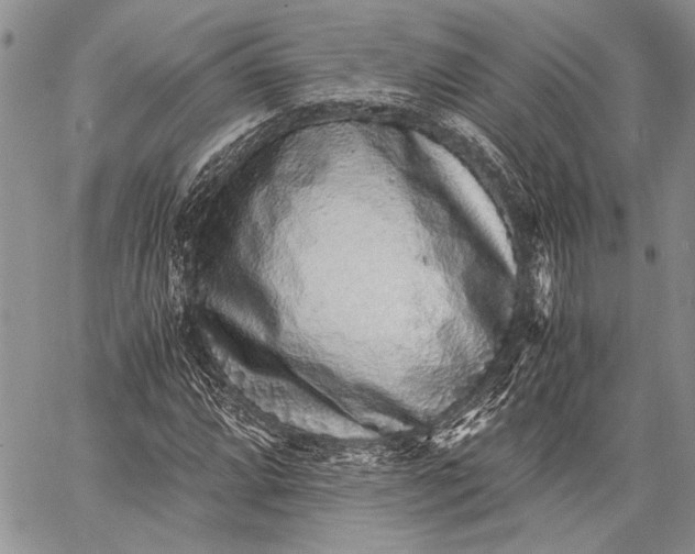 X0000062651064200601040912