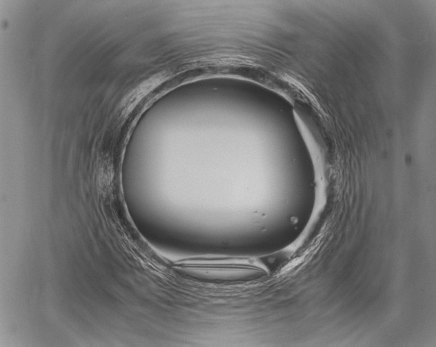 X0000062651065200601040912