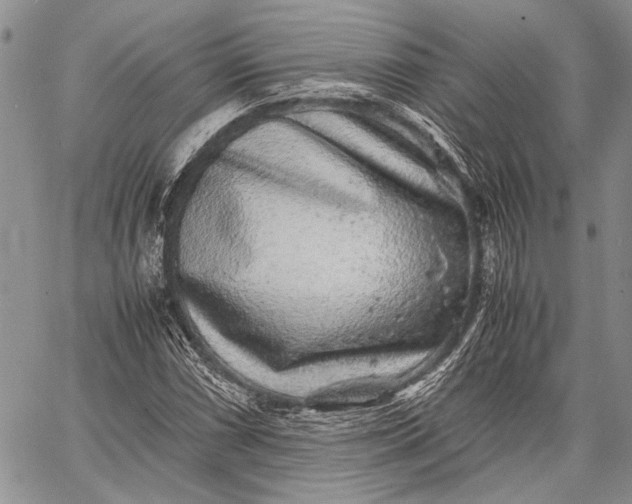 X0000062651066200601040912