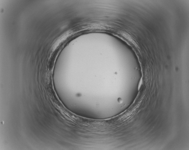 X0000062651067200601040912