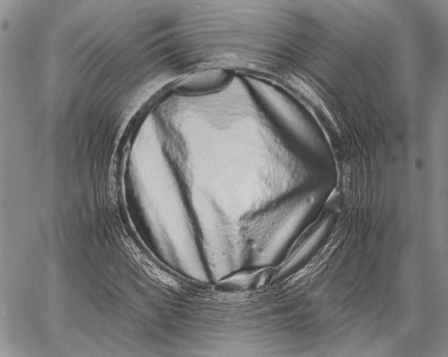 X0000062651068200601040912