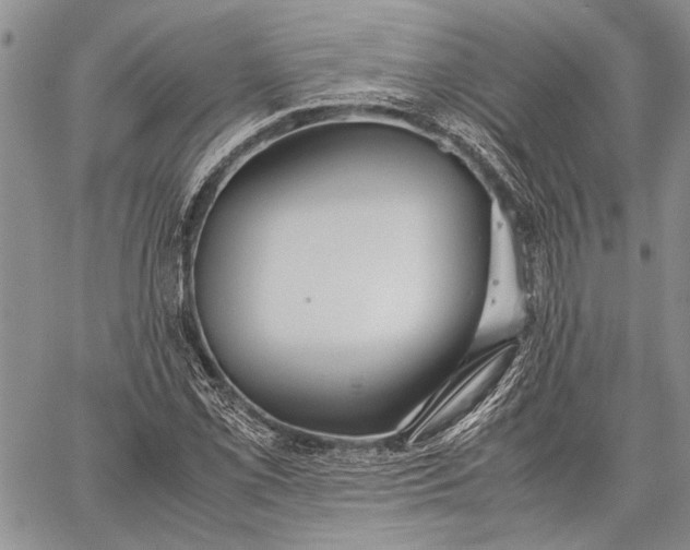 X0000062651069200601040912