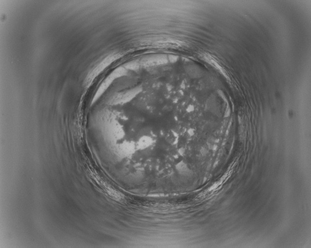 X0000062651071200601040912