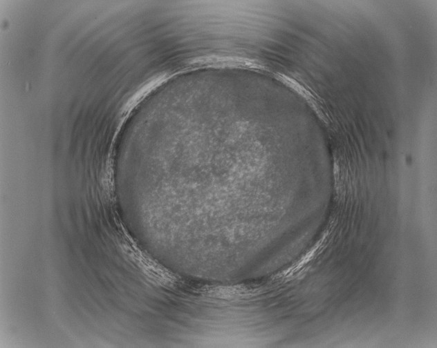 X0000062651074200601040912