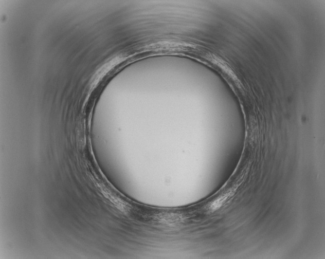 X0000062651075200601040912