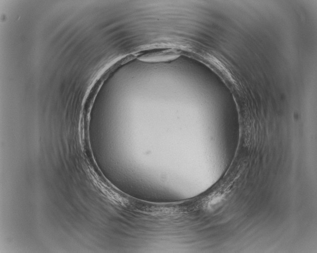 X0000062651076200601040912