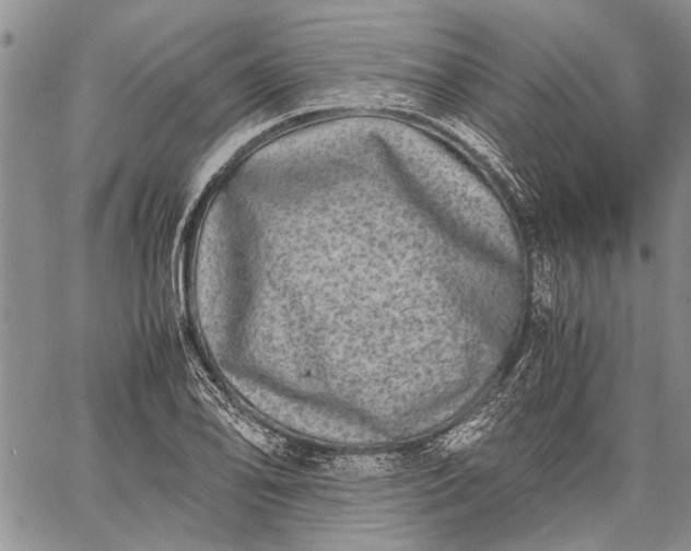 X0000062651078200601040912