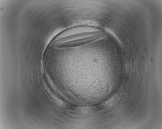 X0000062651079200601040912