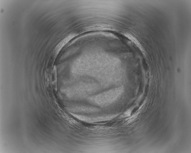 X0000062651081200601040912