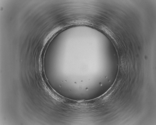 X0000062651082200601040912