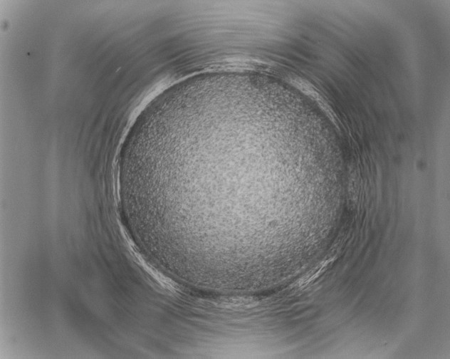 X0000062651083200601040912