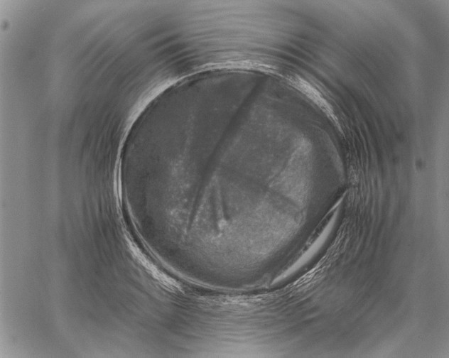 X0000062651084200601040912