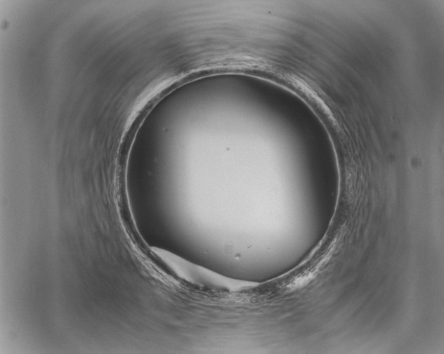 X0000062651085200601040912