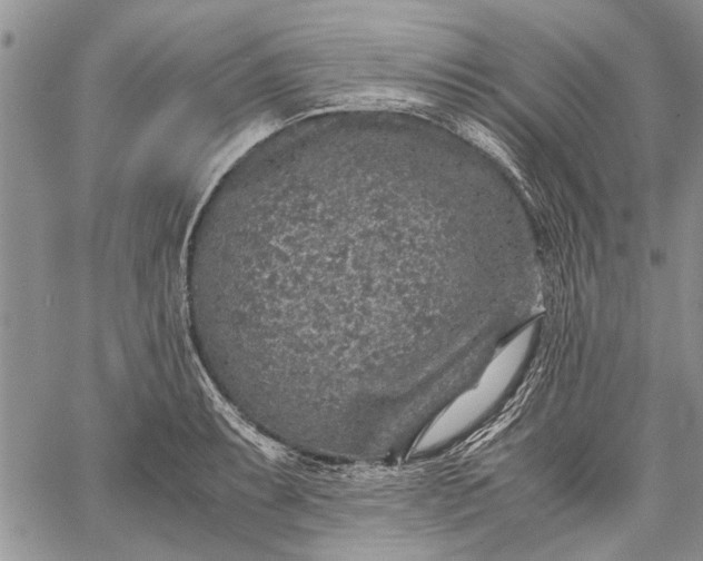 X0000062651087200601040912