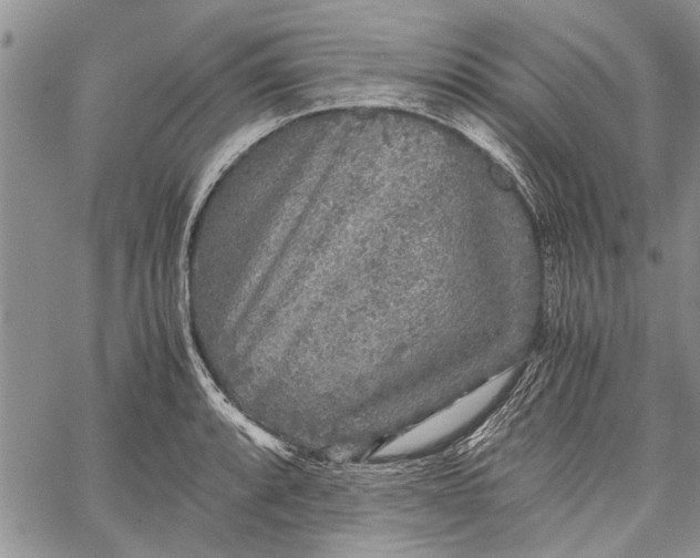 X0000062651088200601040912