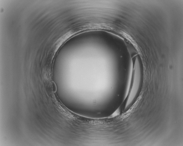 X0000062651089200601040912