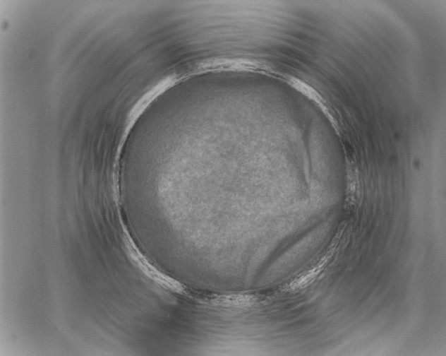 X0000062651090200601040912