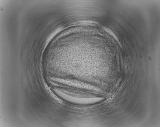 X0000062651091200601040912