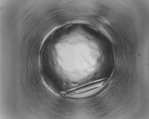 X0000062651092200601040912