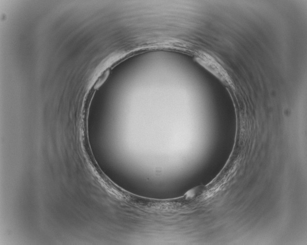 X0000062651093200601040912