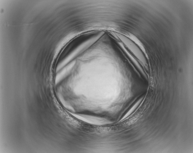 X0000062651096200601040911