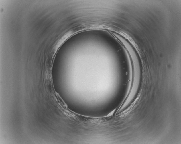 X0000062651097200601040911