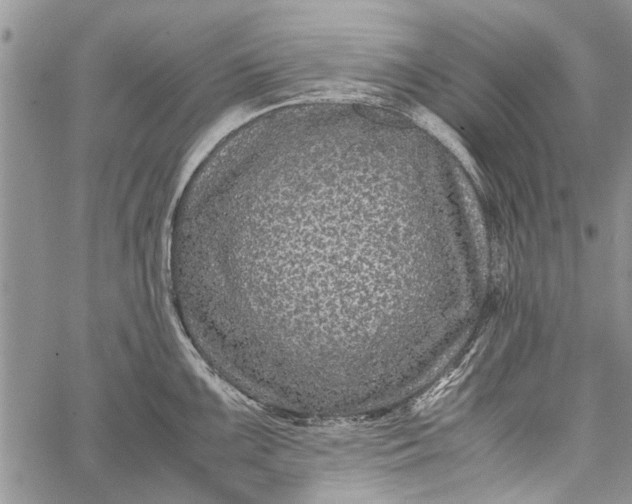 X0000062651099200601040911