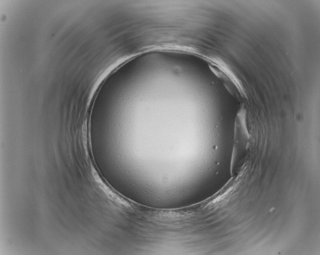 X0000062651100200601040911