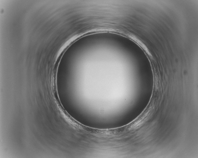 X0000062651101200601040911