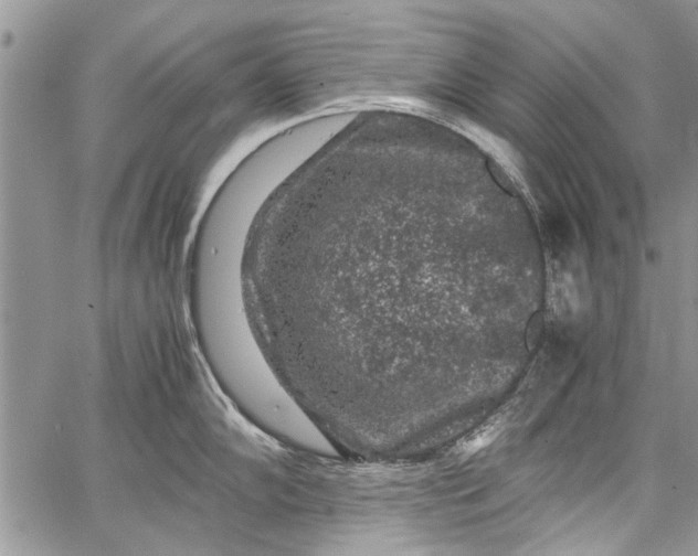 X0000062651102200601040911