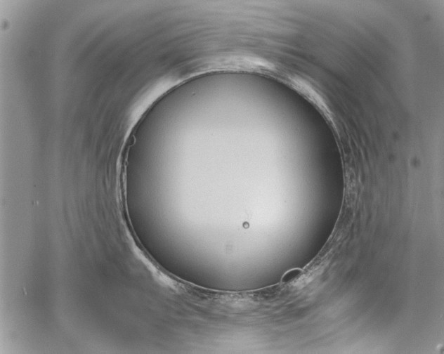 X0000062651103200601040911